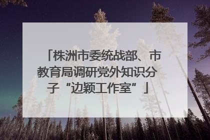 株洲市委统战部、市教育局调研党外知识分子“边颖工作室”