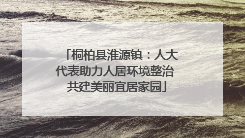 桐柏县淮源镇：人大代表助力人居环境整治 共建美丽宜居家园