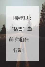 桑植县：“猛兽”当前 他们在行动