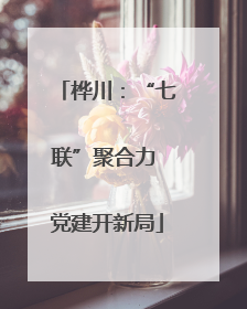 桦川：“七联”聚合力 党建开新局