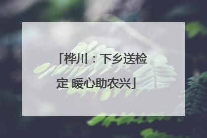 桦川：下乡送检定 暖心助农兴