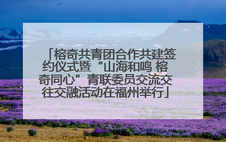 榕奇共青团合作共建签约仪式暨“山海和鸣 榕奇同心”青联委员交流交往交融活动在福州举行