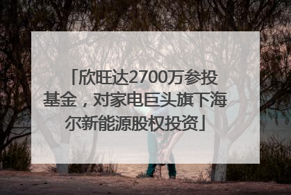 欣旺达2700万参投基金，对家电巨头旗下海尔新能源股权投资