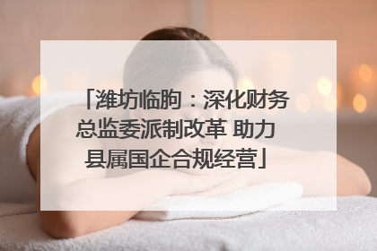 潍坊临朐：深化财务总监委派制改革 助力县属国企合规经营