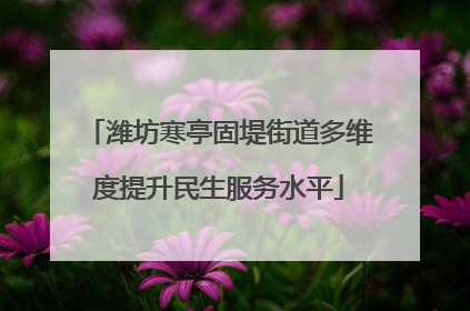 潍坊寒亭固堤街道多维度提升民生服务水平