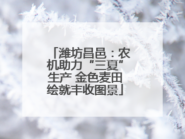 潍坊昌邑：农机助力“三夏”生产 金色麦田绘就丰收图景