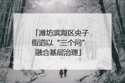 潍坊滨海区央子街道以“三个问”融合基层治理