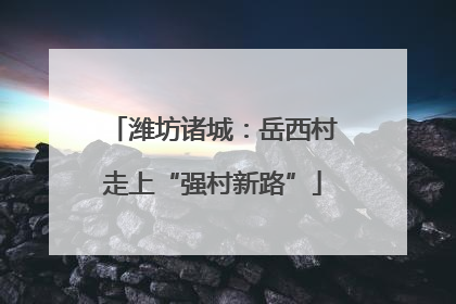 潍坊诸城：岳西村走上“强村新路”