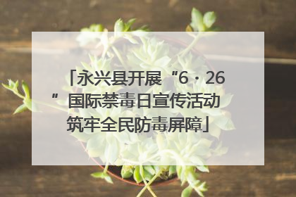 永兴县开展“6・26”国际禁毒日宣传活动 筑牢全民防毒屏障