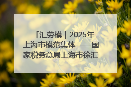 汇劳模｜2025年上海市模范集体——国家税务总局上海市徐汇区税务局第一税务所