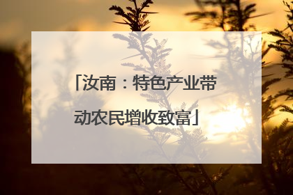 汝南：特色产业带动农民增收致富