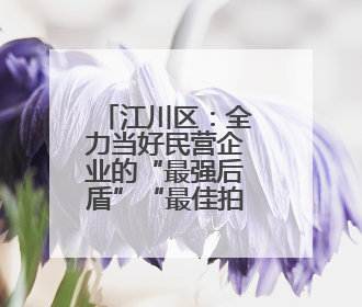 江川区：全力当好民营企业的“最强后盾”“最佳拍档”