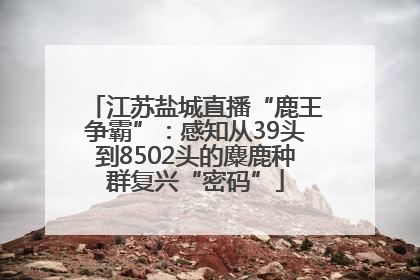 江苏盐城直播“鹿王争霸”：感知从39头到8502头的麋鹿种群复兴“密码”