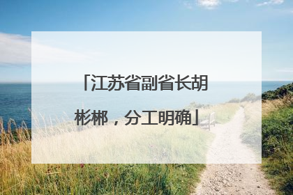 江苏省副省长胡彬郴，分工明确
