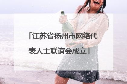 江苏省扬州市网络代表人士联谊会成立