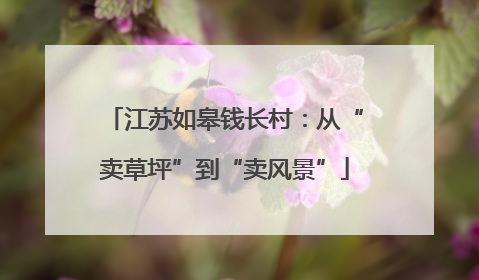 江苏如皋钱长村：从“卖草坪”到“卖风景”