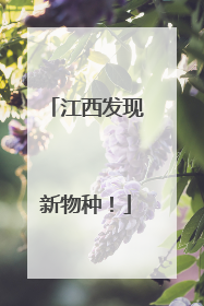 江西发现新物种！