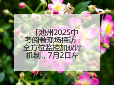 池州2025中考阅卷现场探访：全方位监控加双评机制，7月2日左右公布成绩