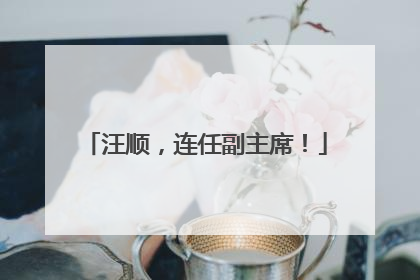 汪顺，连任副主席！