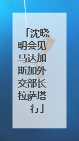 沈晓明会见马达加斯加外交部长拉萨塔一行