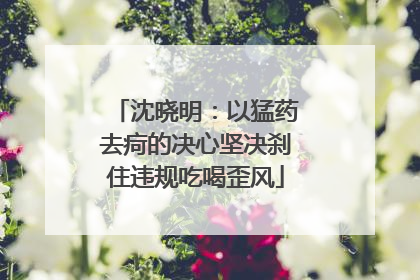 沈晓明：以猛药去疴的决心坚决刹住违规吃喝歪风