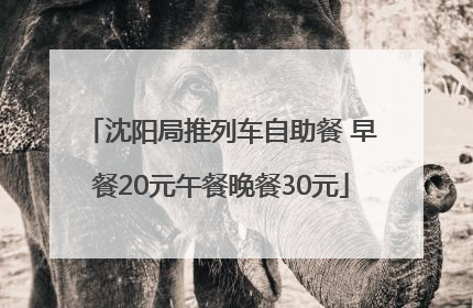 沈阳局推列车自助餐 早餐20元午餐晚餐30元