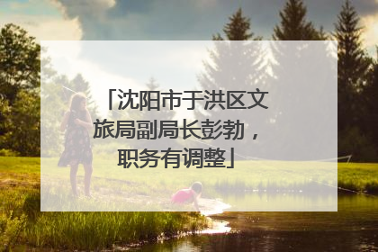 沈阳市于洪区文旅局副局长彭勃，职务有调整