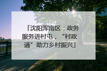 沈阳浑南区：政务服务进村屯，“村政通”助力乡村振兴