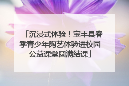 沉浸式体验！宝丰县春季青少年陶艺体验进校园公益课堂圆满结课