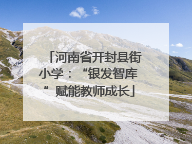 河南省开封县街小学：“银发智库”赋能教师成长