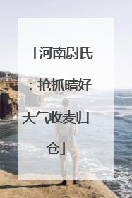 河南尉氏：抢抓晴好天气收麦归仓