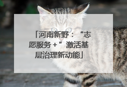 河南新野：“志愿服务＋”激活基层治理新动能