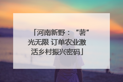 河南新野：“薯”光无限 订单农业激活乡村振兴密码
