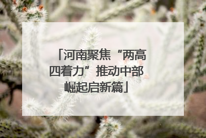 河南聚焦“两高四着力”推动中部崛起启新篇