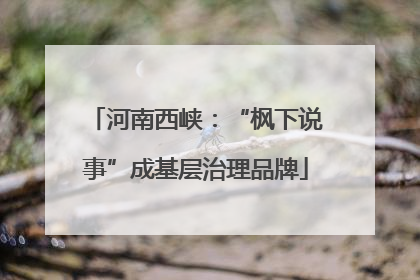 河南西峡：“枫下说事”成基层治理品牌