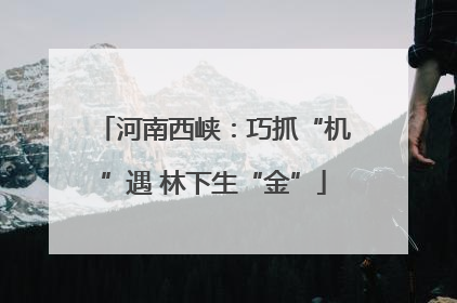 河南西峡：巧抓“机”遇 林下生“金”