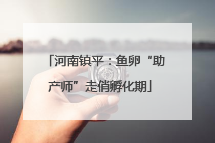 河南镇平：鱼卵“助产师”走俏孵化期