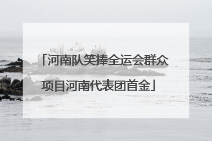 河南队笑捧全运会群众项目河南代表团首金