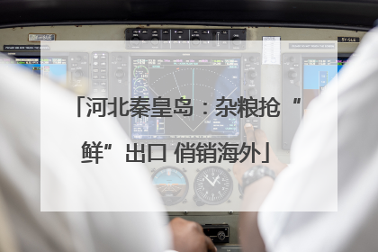 河北秦皇岛：杂粮抢“鲜”出口 俏销海外