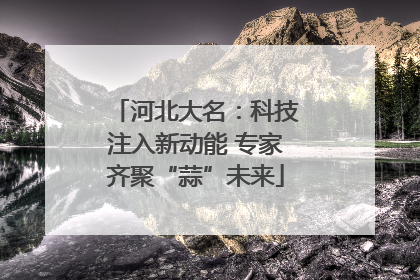 河北大名：科技注入新动能 专家齐聚“蒜”未来