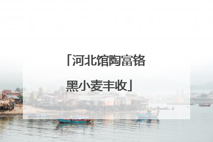 河北馆陶富铬黑小麦丰收