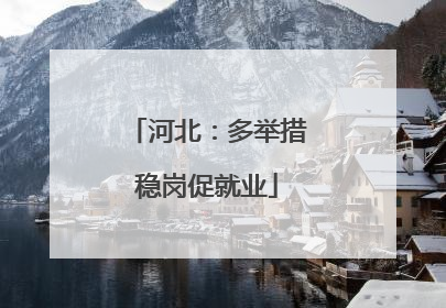 河北：多举措稳岗促就业
