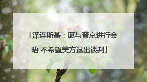 泽连斯基：愿与普京进行会晤 不希望美方退出谈判