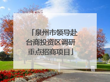 泉州市领导赴台商投资区调研重点招商项目