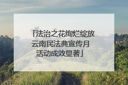 法治之花绚烂绽放 云南民法典宣传月活动成效显著