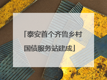 泰安首个齐鲁乡村国债服务站建成