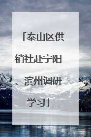 泰山区供销社赴宁阳、滨州调研学习