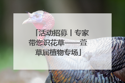 活动招募丨专家带您识花草——萱草属植物专场