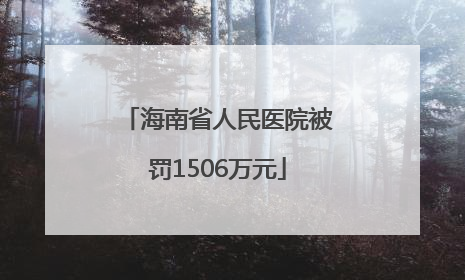 海南省人民医院被罚1506万元