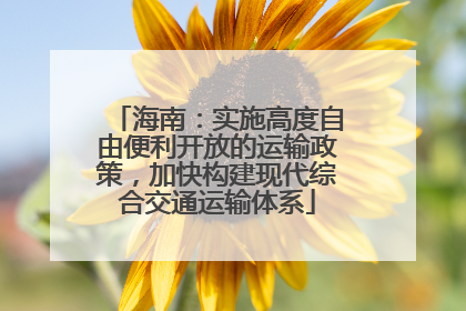 海南：实施高度自由便利开放的运输政策，加快构建现代综合交通运输体系